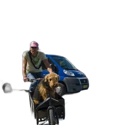 animal, car, creature, weapon transparent PNG cut-out