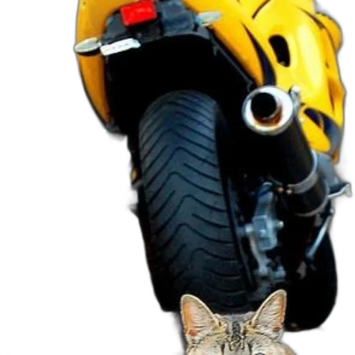 weapon, animal, robot, car transparent PNG cut-out
