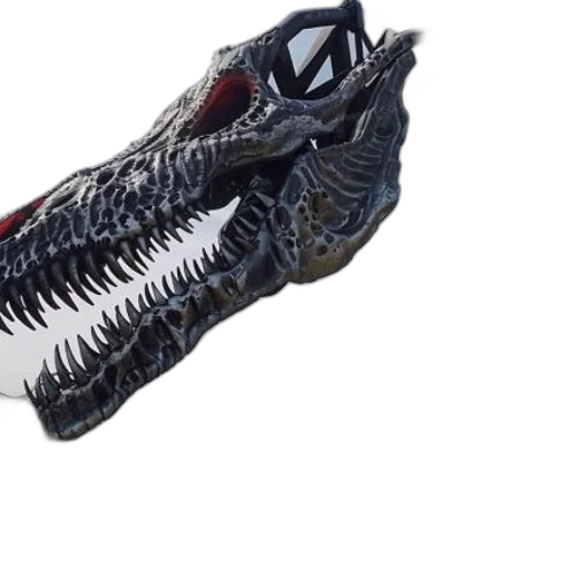shoes, dragon, weapon, creature transparent PNG cut-out