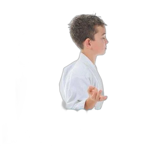staff, jacket, hair, robot transparent PNG cut-out