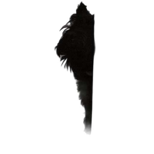 hair, animal, staff, mask transparent PNG cut-out