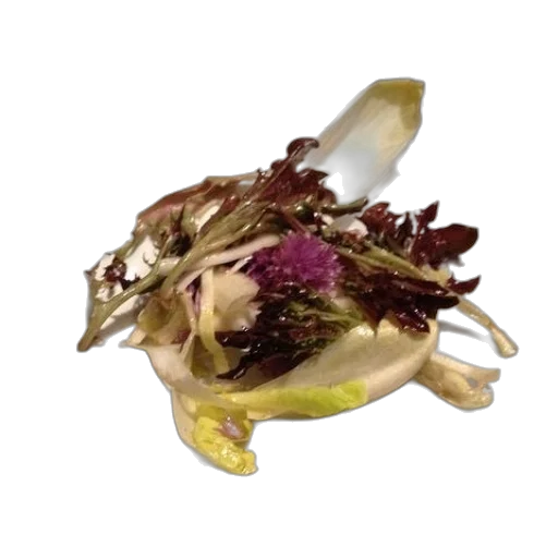 flower, crown, jewelry, food transparent PNG cut-out
