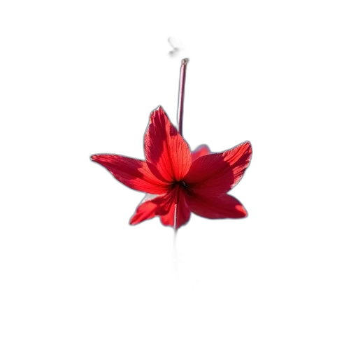 flower, jewelry, crown, staff transparent PNG cut-out