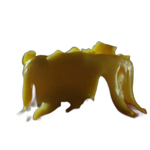 crown, food, animal, creature transparent PNG cut-out
