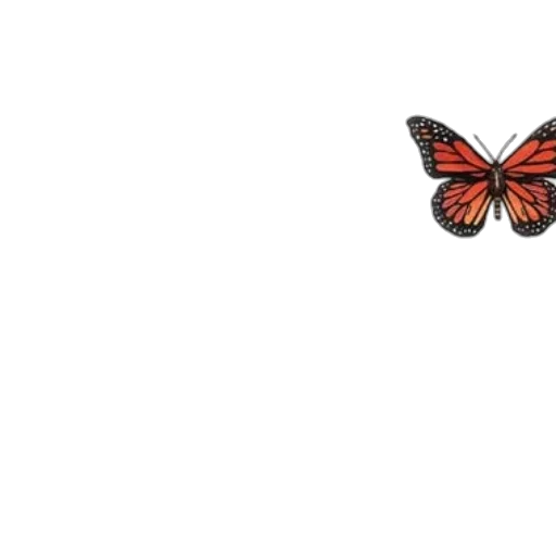 animal, flower, creature, crown transparent PNG cut-out