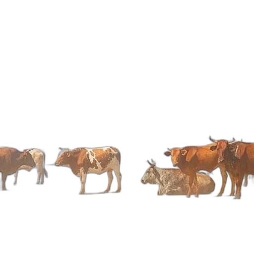 animal, food, concept art, 3d render transparent PNG cut-out