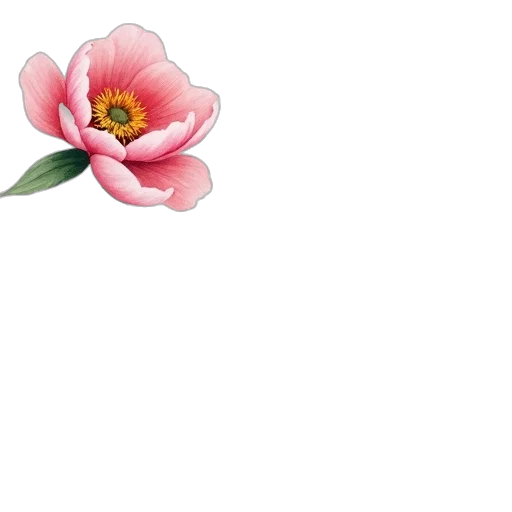 flower, crown, jewelry, weapon transparent PNG cut-out