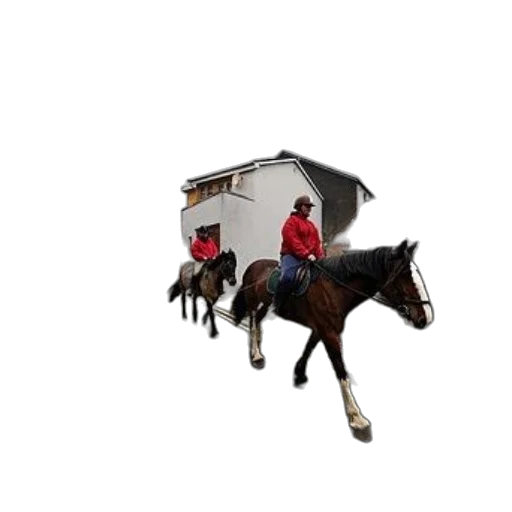 furniture, animal, umbrella, 3d render transparent PNG cut-out