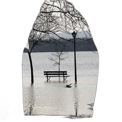furniture, umbrella, tree, hat transparent PNG cut-out