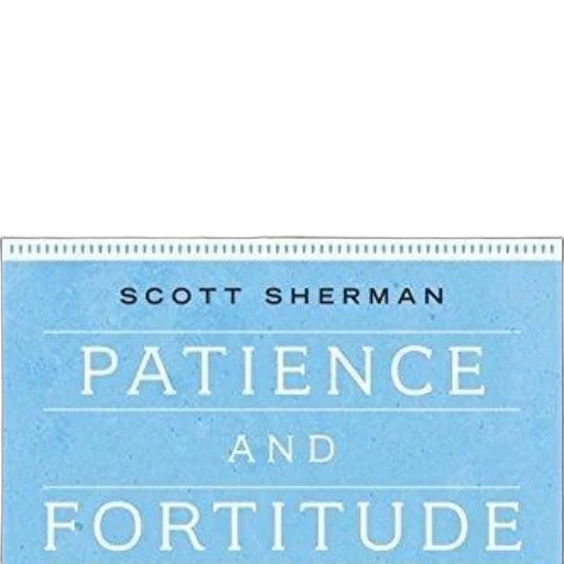 furniture, patience, fortitude, scott transparent PNG cut-out