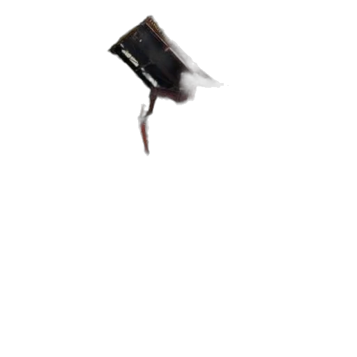 hat, shoes, weapon, hair transparent PNG cut-out