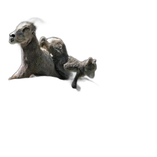 animal, creature, dragon, staff transparent PNG cut-out