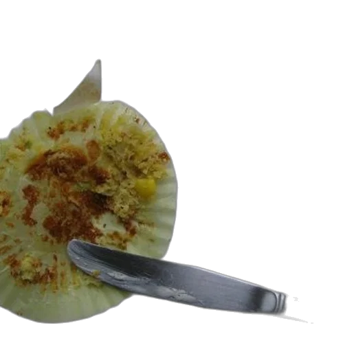 food, weapon, flower, staff transparent PNG cut-out