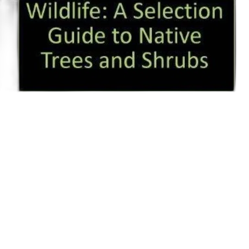 tree, book, cover, green transparent PNG cut-out