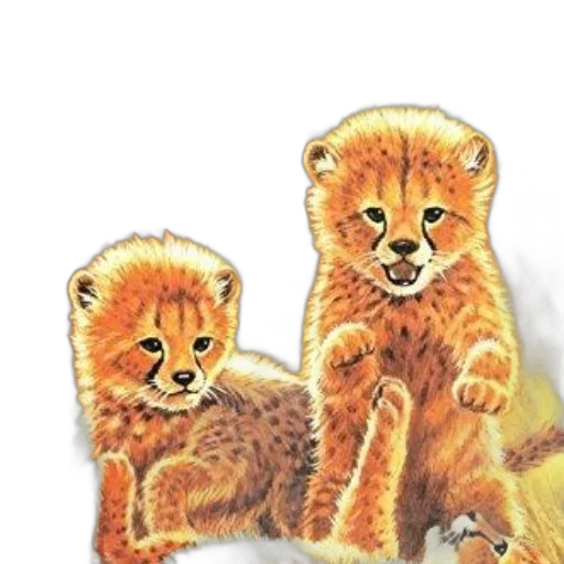animal, jewelry, staff, furniture transparent PNG cut-out