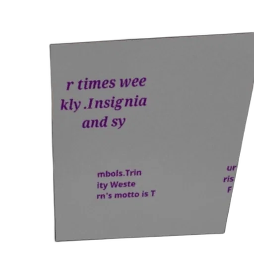 umbrella, vaporwave, poster, text transparent PNG cut-out