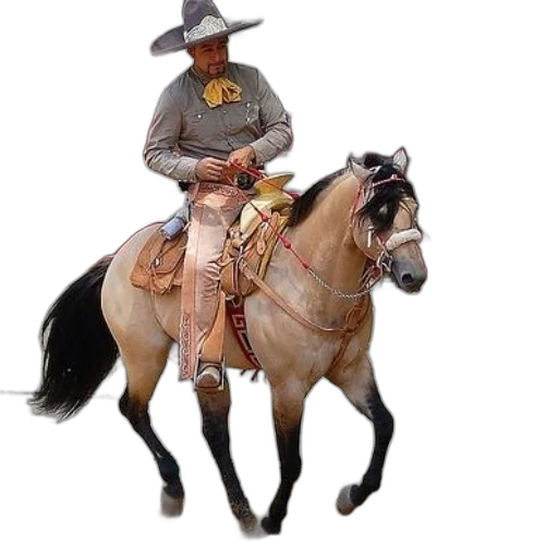 hat, animal, staff, jacket transparent PNG cut-out