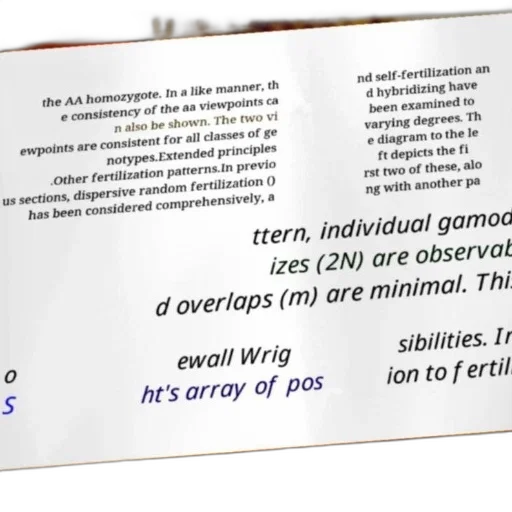 image, contains, text, discussing transparent PNG cut-out