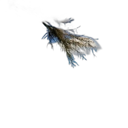 hair, dragon, tree, crown transparent PNG cut-out