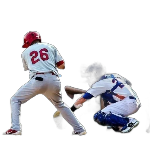 animal, weapon, creature, baseball transparent PNG cut-out