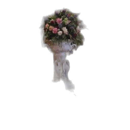 flower, crown, dress, hat transparent PNG cut-out