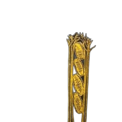 crown, staff, jewelry, sword transparent PNG cut-out