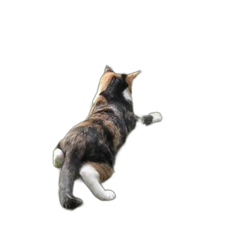 animal, staff, creature, robot transparent PNG cut-out