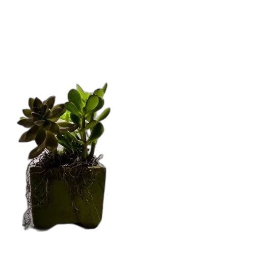 crown, furniture, robot, flower transparent PNG cut-out