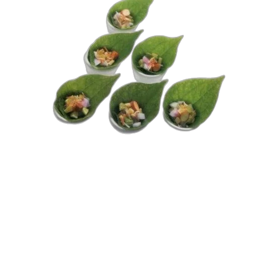 food, flower, staff, dragon transparent PNG cut-out