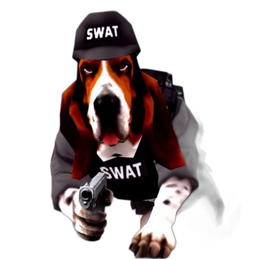 jacket, staff, weapon, hat transparent PNG cut-out