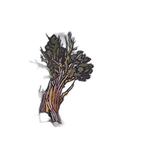 crown, tree, flower, hair transparent PNG cut-out