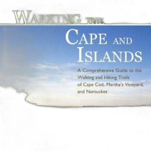 book, cover, titled, walking transparent PNG cut-out