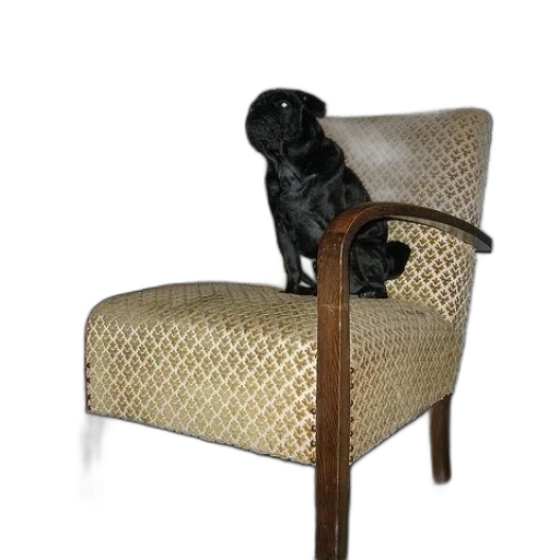 furniture, staff, animal, 3d render transparent PNG cut-out