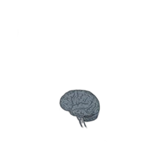 hat, crown, umbrella, hair transparent PNG cut-out