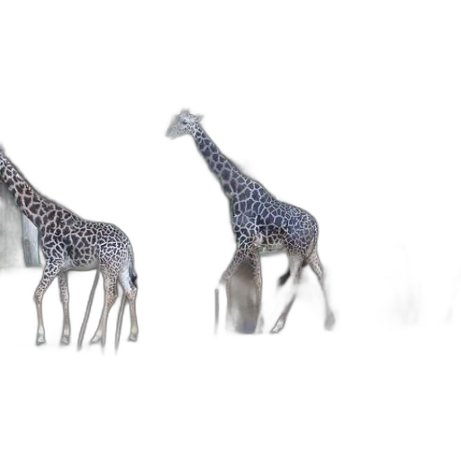 animal, creature, shoes, jewelry transparent PNG cut-out