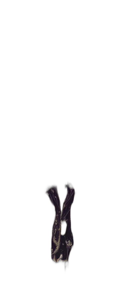 shoes, animal, hair, hat transparent PNG cut-out