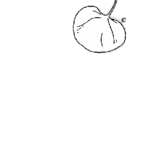 flower, food, hair, crown transparent PNG cut-out