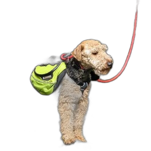 staff, animal, photorealistic, 3d render transparent PNG cut-out