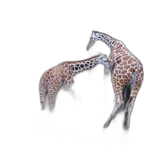 animal, jewelry, dragon, creature transparent PNG cut-out