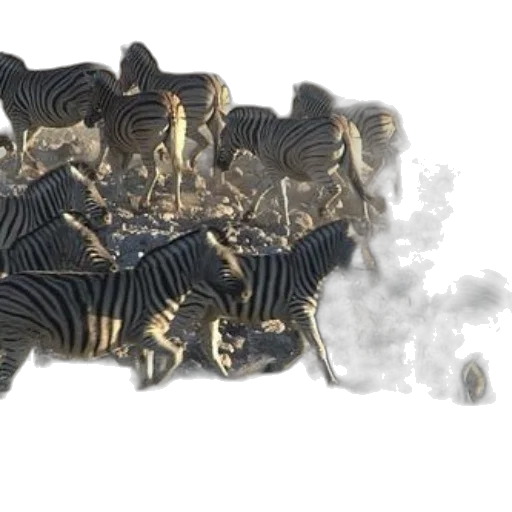 dragon, hair, crown, car transparent PNG cut-out