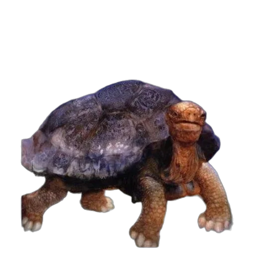 creature, animal, dragon, staff transparent PNG cut-out