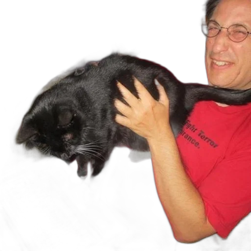 animal, creature, staff, hair transparent PNG cut-out
