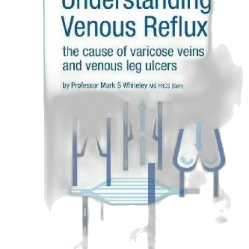 book, cover, titled, understanding transparent PNG cut-out