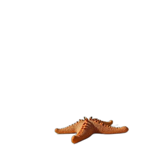 shoes, hat, dragon, animal transparent PNG cut-out