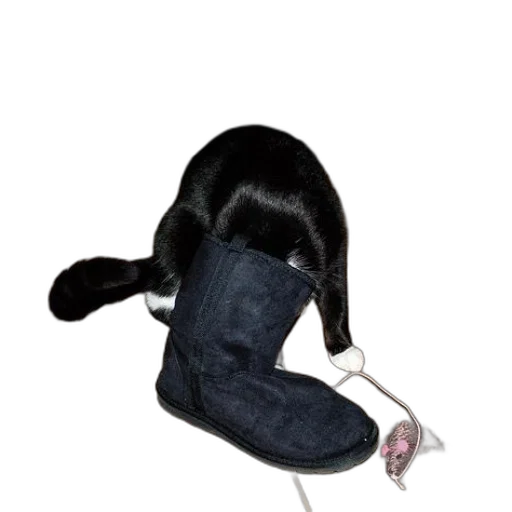 hat, shoes, hair, staff transparent PNG cut-out