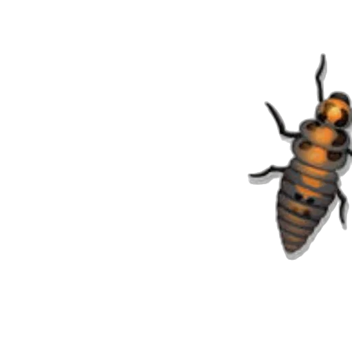 animal, creature, robot, furniture transparent PNG cut-out