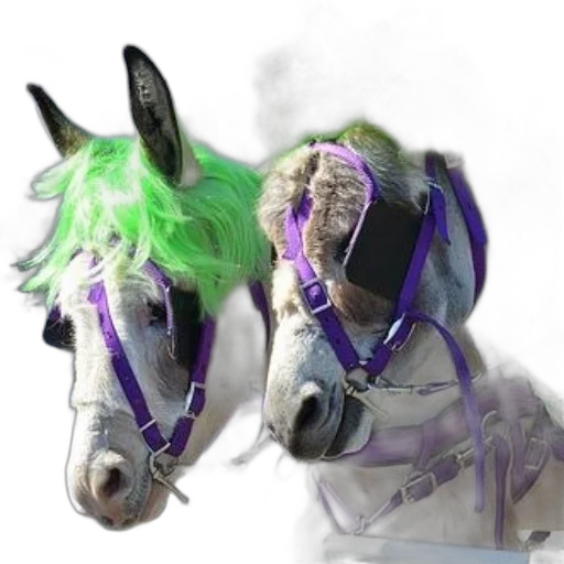 mask, animal, dragon, creature transparent PNG cut-out