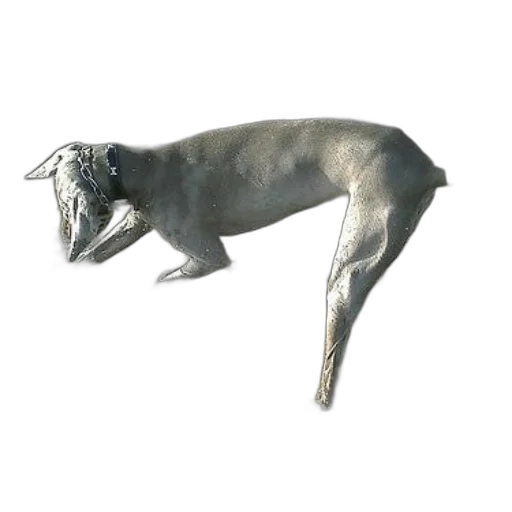 animal, creature, dragon, staff transparent PNG cut-out
