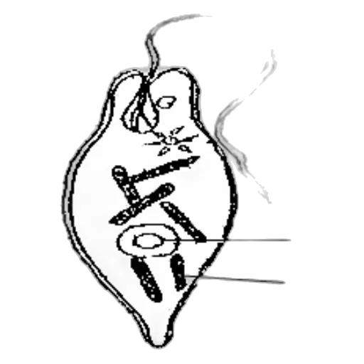 jewelry, mask, staff, jacket transparent PNG cut-out