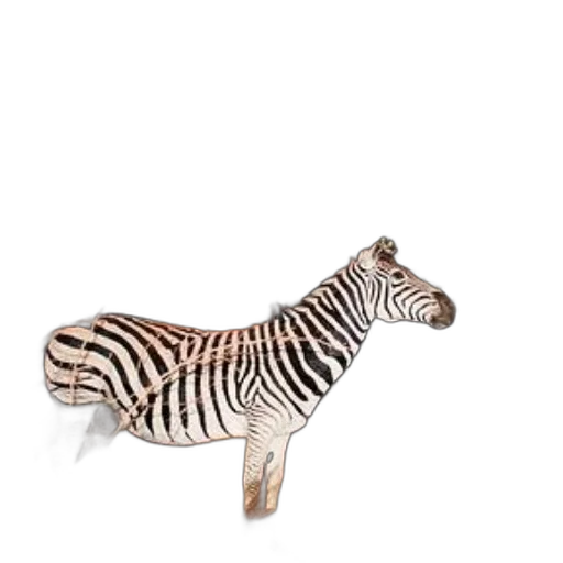 animal, creature, furniture, staff transparent PNG cut-out